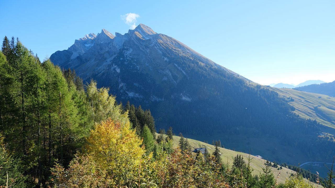 Wallpaper mountain, peak, trees, nature, landscape, view