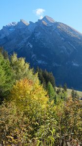 Preview wallpaper mountain, peak, trees, nature, landscape, view