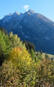 Preview wallpaper mountain, peak, trees, nature, landscape, view