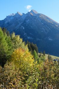 Preview wallpaper mountain, peak, trees, nature, landscape, view