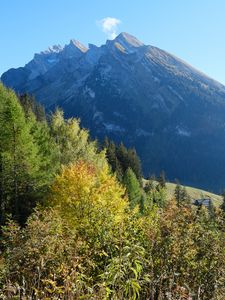 Preview wallpaper mountain, peak, trees, nature, landscape, view