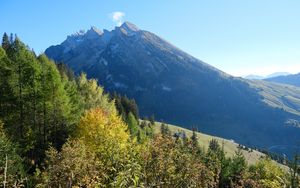 Preview wallpaper mountain, peak, trees, nature, landscape, view