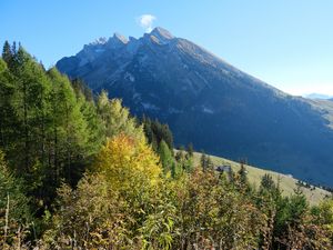 Preview wallpaper mountain, peak, trees, nature, landscape, view