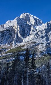 Preview wallpaper mountain, peak, trees, landscape, slope, view