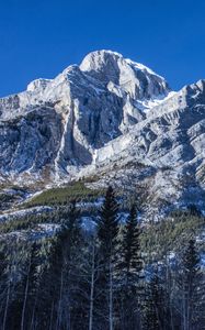 Preview wallpaper mountain, peak, trees, landscape, slope, view