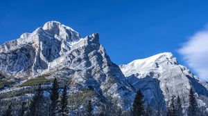 Preview wallpaper mountain, peak, trees, landscape, slope, view