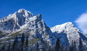 Preview wallpaper mountain, peak, trees, landscape, slope, view