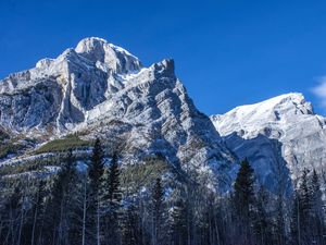 Preview wallpaper mountain, peak, trees, landscape, slope, view