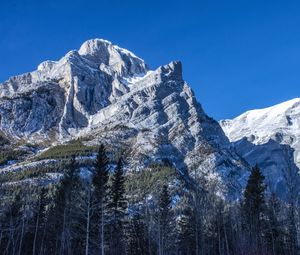 Preview wallpaper mountain, peak, trees, landscape, slope, view