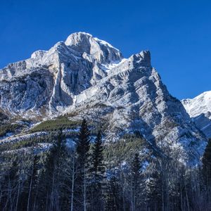 Preview wallpaper mountain, peak, trees, landscape, slope, view