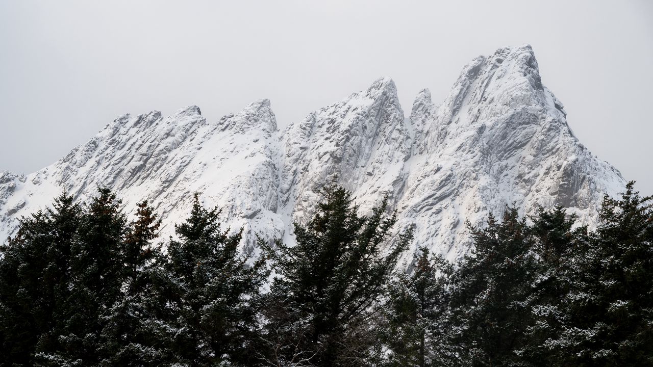 Wallpaper mountain, peak, trees, tops, snow
