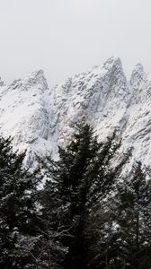 Preview wallpaper mountain, peak, trees, tops, snow