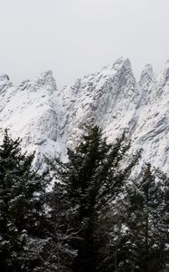 Preview wallpaper mountain, peak, trees, tops, snow