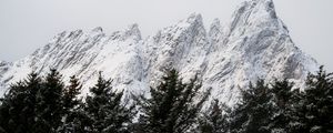 Preview wallpaper mountain, peak, trees, tops, snow