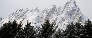 Preview wallpaper mountain, peak, trees, tops, snow