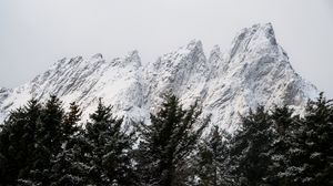 Preview wallpaper mountain, peak, trees, tops, snow