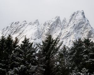 Preview wallpaper mountain, peak, trees, tops, snow