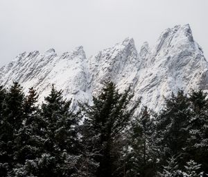 Preview wallpaper mountain, peak, trees, tops, snow