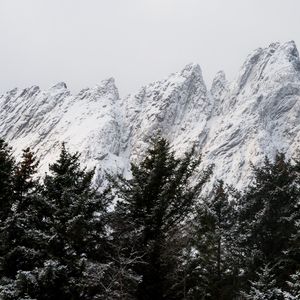 Preview wallpaper mountain, peak, trees, tops, snow