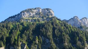 Preview wallpaper mountain, peak, trees, pines, nature