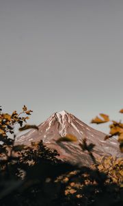 Preview wallpaper mountain, peak, volcano, branches, bushes