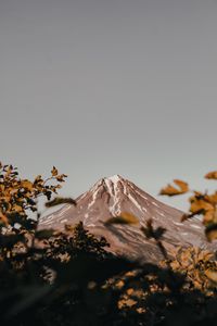 Preview wallpaper mountain, peak, volcano, branches, bushes