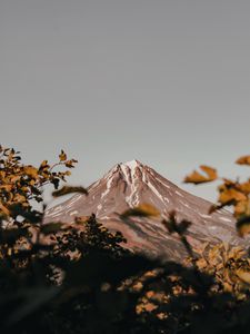 Preview wallpaper mountain, peak, volcano, branches, bushes