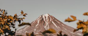 Preview wallpaper mountain, peak, volcano, branches, bushes