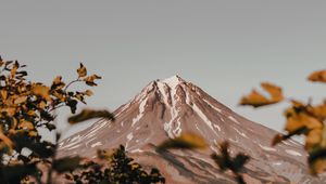 Preview wallpaper mountain, peak, volcano, branches, bushes