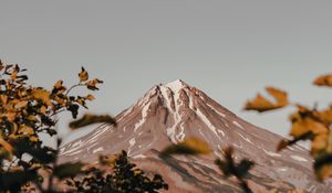 Preview wallpaper mountain, peak, volcano, branches, bushes