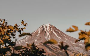 Preview wallpaper mountain, peak, volcano, branches, bushes