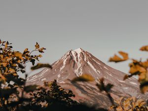 Preview wallpaper mountain, peak, volcano, branches, bushes