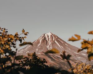 Preview wallpaper mountain, peak, volcano, branches, bushes