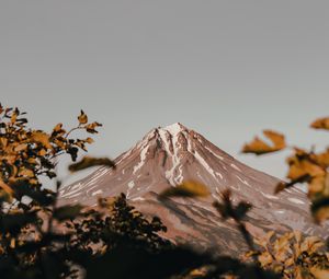 Preview wallpaper mountain, peak, volcano, branches, bushes