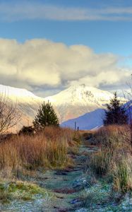 Preview wallpaper mountain, peaks, snow, trees, spruce, grass, frost, frozen