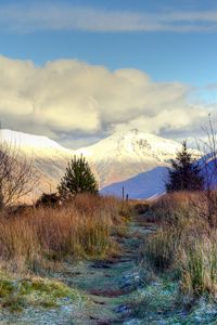 Preview wallpaper mountain, peaks, snow, trees, spruce, grass, frost, frozen