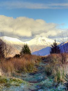 Preview wallpaper mountain, peaks, snow, trees, spruce, grass, frost, frozen