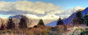 Preview wallpaper mountain, peaks, snow, trees, spruce, grass, frost, frozen