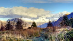 Preview wallpaper mountain, peaks, snow, trees, spruce, grass, frost, frozen