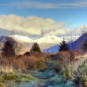 Preview wallpaper mountain, peaks, snow, trees, spruce, grass, frost, frozen