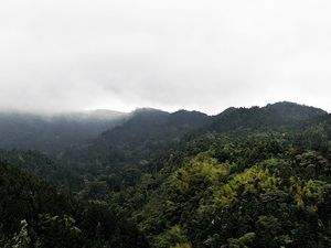 Preview wallpaper mountain, peaks, trees, fog