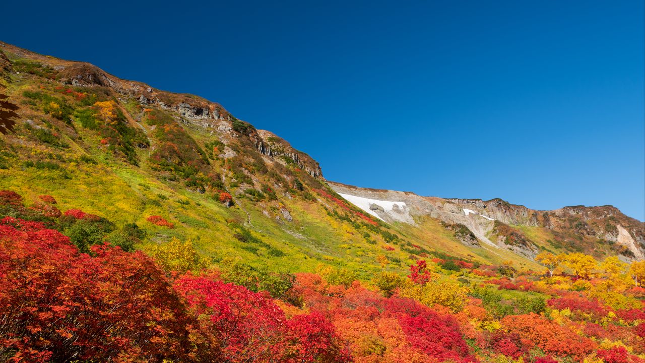 Wallpaper mountain, piedmont, trees, autumn, landscape