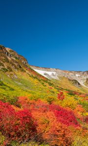 Preview wallpaper mountain, piedmont, trees, autumn, landscape