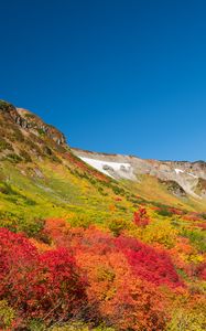 Preview wallpaper mountain, piedmont, trees, autumn, landscape