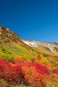 Preview wallpaper mountain, piedmont, trees, autumn, landscape