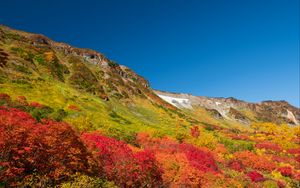Preview wallpaper mountain, piedmont, trees, autumn, landscape