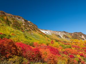 Preview wallpaper mountain, piedmont, trees, autumn, landscape