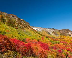 Preview wallpaper mountain, piedmont, trees, autumn, landscape