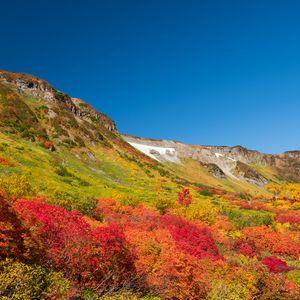 Preview wallpaper mountain, piedmont, trees, autumn, landscape