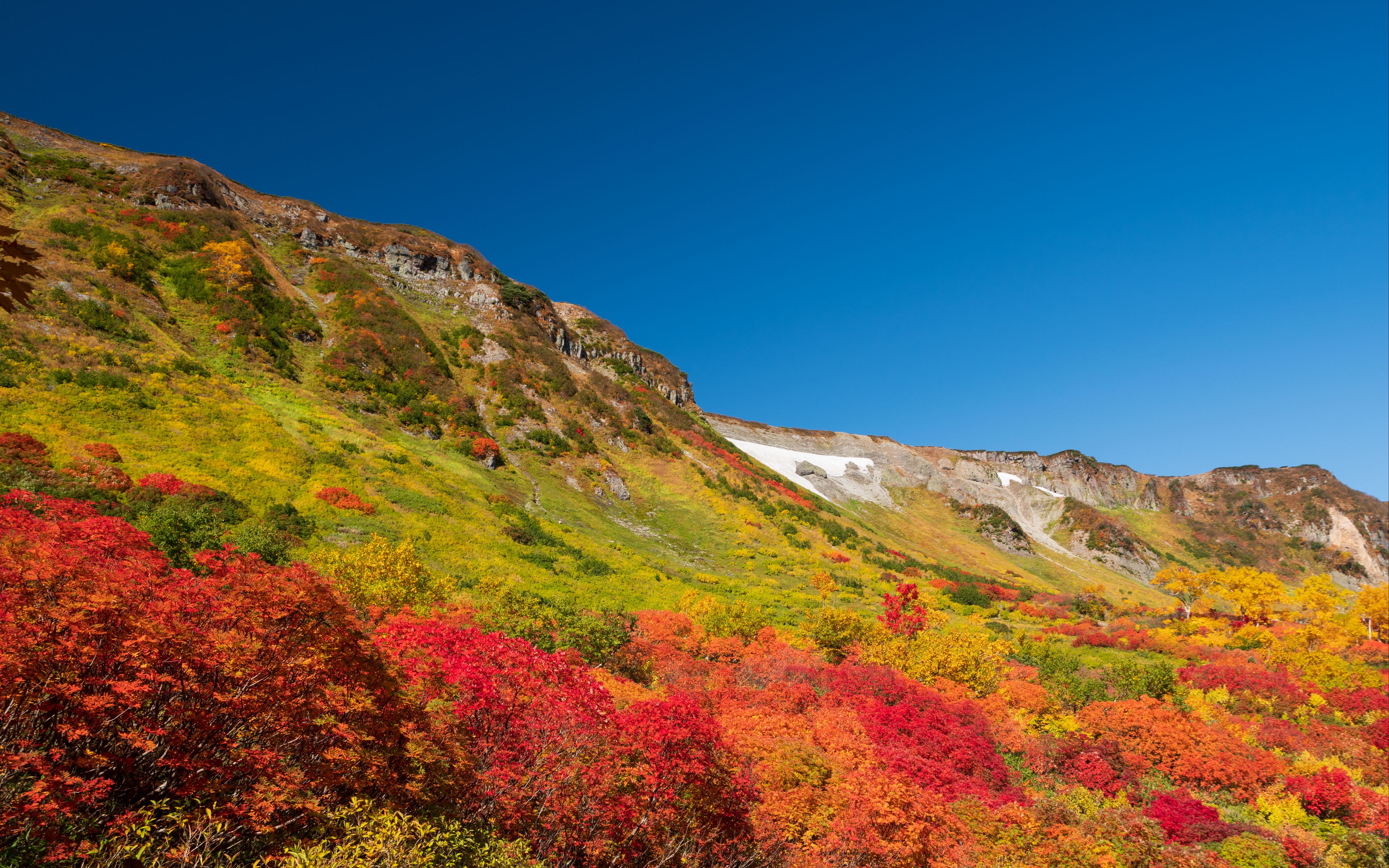 Download wallpaper 3840x2400 mountain, piedmont, trees, autumn